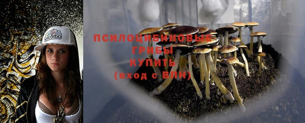 экстази Белокуриха