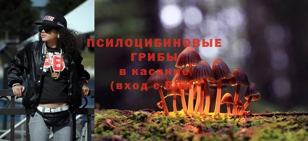 экстази Белокуриха